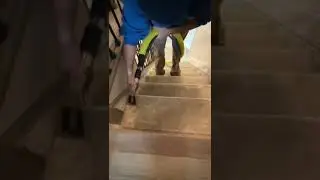 Amazing Carpeted Stair Transformation | Professional Deep Cleaning by DaVinci Carpet Cleaning