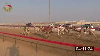سباق الإيذاع - الطي 13-11-2022 ش12 سياف لـ أحمد طارش سعيد الكعبي 6:07