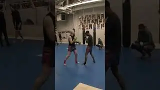 The Punch Tag Revolutionizing Muay Thai Training