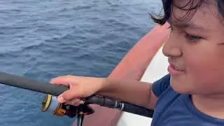 Дорадо для одного из наших детей с сайта www.danskids.org