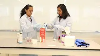 Animal Adaptations for Survival in the Cold - (Elementary School Version)
