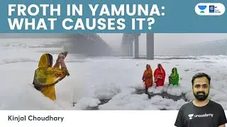 What Causes Froathing In Yamuna River In Delhi | Why Is It Dangerous? | Toxic Foam | Chhath Puja