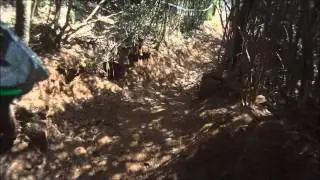 DH de millau 2012