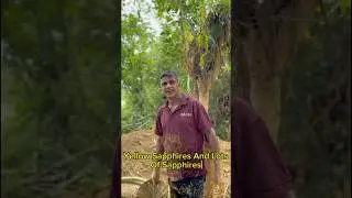 Finding Ceylon Gemstones With Ceylon Tea