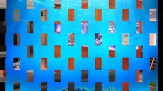 Aquarium Art 600 gallon custom build reef tank