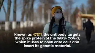 47D11 Can Prevent & Cure COVID-19 Infection: Scientists