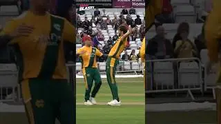 #cricket#afreedi 🔥🔥