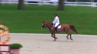Video of CRISS CROSS ridden by ALEX GRANATO from ShowNet!