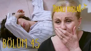 Yaralı Kuşlar 45. Bölüm