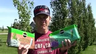 Как установить шипы для удобрения деревьев Miracle Grow (я установил 240 за 8 часов)