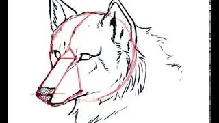 Furry Tutorial - Wolf Head