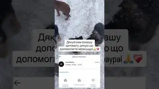 #україна #cat #милота #допомогатваринам #kitten #cute #youtube #shortvideo #animals #help #ukraine