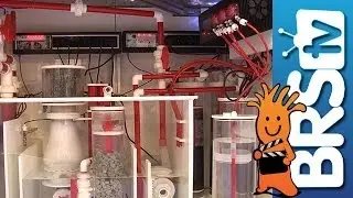 Vertex, Lots of Vertex | Interzoo 2014