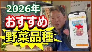 【2026年】これ植えとけ！失敗しにくい野菜品種
