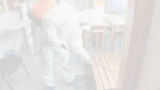 Professional Bed Bug Treatment Columbus OH | xterminator.com
