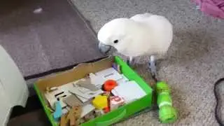 Max Wants Angel To Play