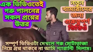 গরু মোটাতাজা করন A-Z এক ভিডিওতে।