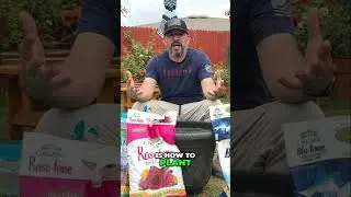 Rose Planting Secrets: Thriving Roses in Pots!
