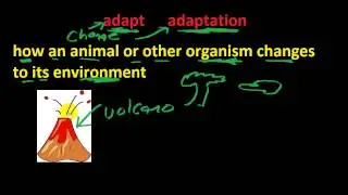 adaptation: Learn ESL Science Vocabulary Quickly!