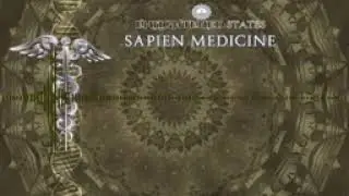 Joint Regeneration by Sapien Medicine (Morphic/Energetically Programmed Audio)