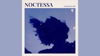 pam risouri&eacute; - Noctessa (Full EP)