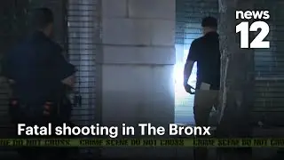 46-year-old man fatally shot in Morrisania section of The Bronx | News 12