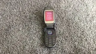 Review on the LG vx8300.
