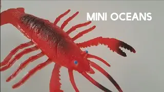 Mini Oceans (KS1 Science)