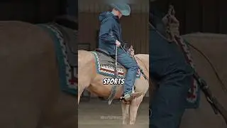 Do Spurs Hurt Horses? Truth About Spurs Explained #reels #facts