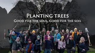 Planting trees: good for the soul, good for the soil