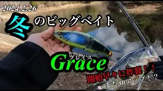 【バス釣り】2024.2.26 冬のビッグベイト　Grace 開始早々に炸裂！