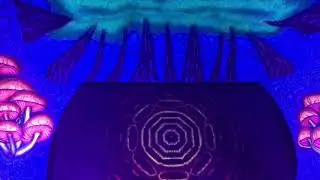 DJ HISA @ Dimension festival, New Zealand