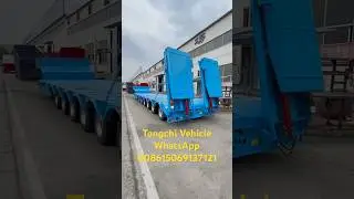 China 6 axle 100 tons lowbed semitrailer for sale in Tanzania