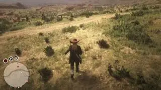 Red Dead Online Oregano locations