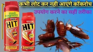 HIT Cockroach killer spray Review in hindi | How to use  hit cockroach spray |