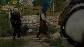 The Witcher 3: Wild Hunt Race Bug