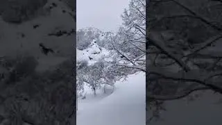 The Rare Beauty of Snow in Montenegro