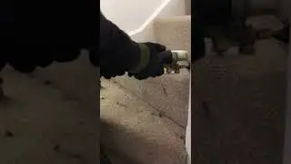 Stair carpet cleaning Wirral