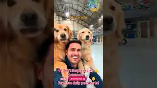 Unbreakable Bond: Heartwarming Moments Between Dogs and Their Owners 🐾❤️