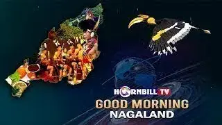 MORNING PULSE || 24th JANUARY 2026 || HORNBILL TV