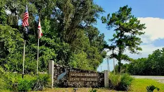 Paynes Prairie Preserve State Park