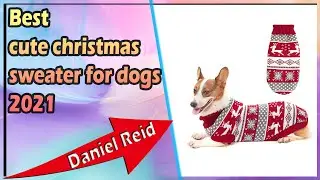 Best cute christmas sweater for dogs 2021