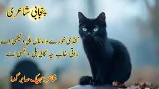 Punjabi poetry || Punjabi shayari || Punjabi ghazal || Kundi khaory wa nal hilli wekhi a.