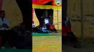 Catch of the Tournament👏 : #Cricketcarlson #Cricket #trendingreels #cricketlovers❤️
