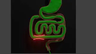 Particle Simulation #1 : Move Like Fluid Simulation Human digestive System