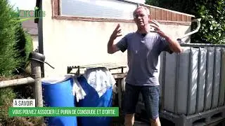 Comment UTILISER le PURIN de CONSOUDE ?