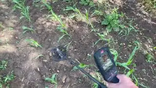 MINELAB MATICORE stabiliser
