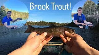 Fishing a Fly Fishing Only Pond for Brook Trout!