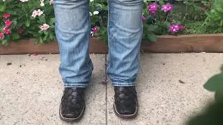 Como bailar Huapangos (lean la descripcion )