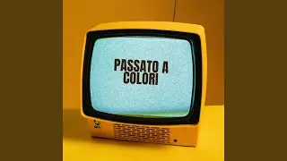 Vigile Urbano